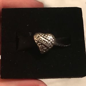 AUTHENTIC Retired Pandora Family Charm